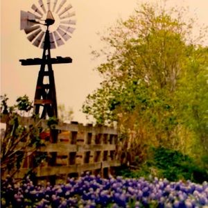 Meet your Posher, Marlene